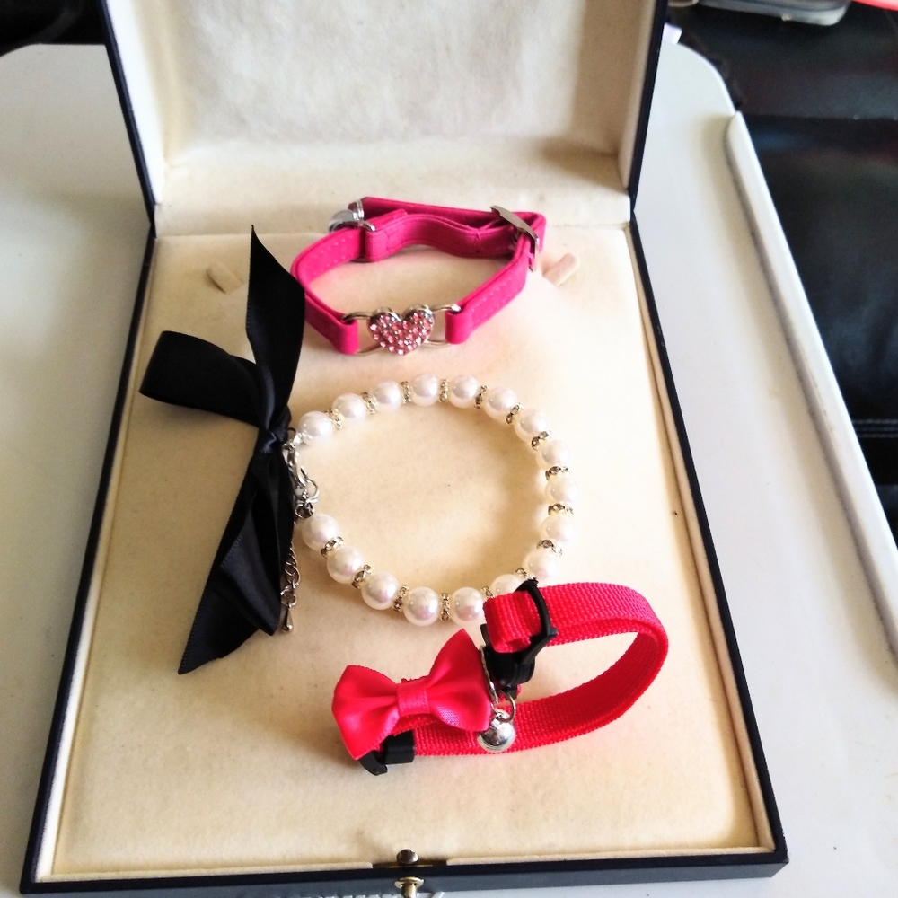 Gorgeous 🥰 Elegant Small Animal Collar Bundle !